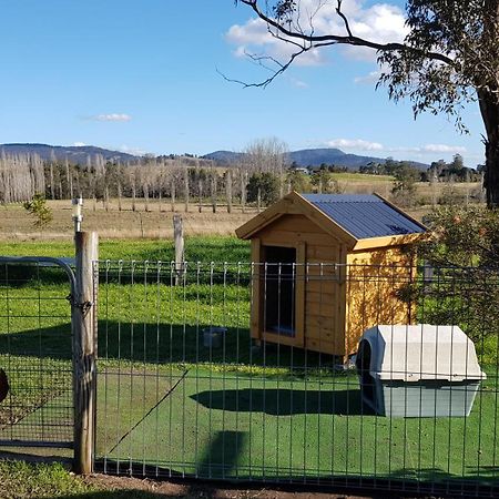 The Wattle Lodge Glendon Brook Exterior photo