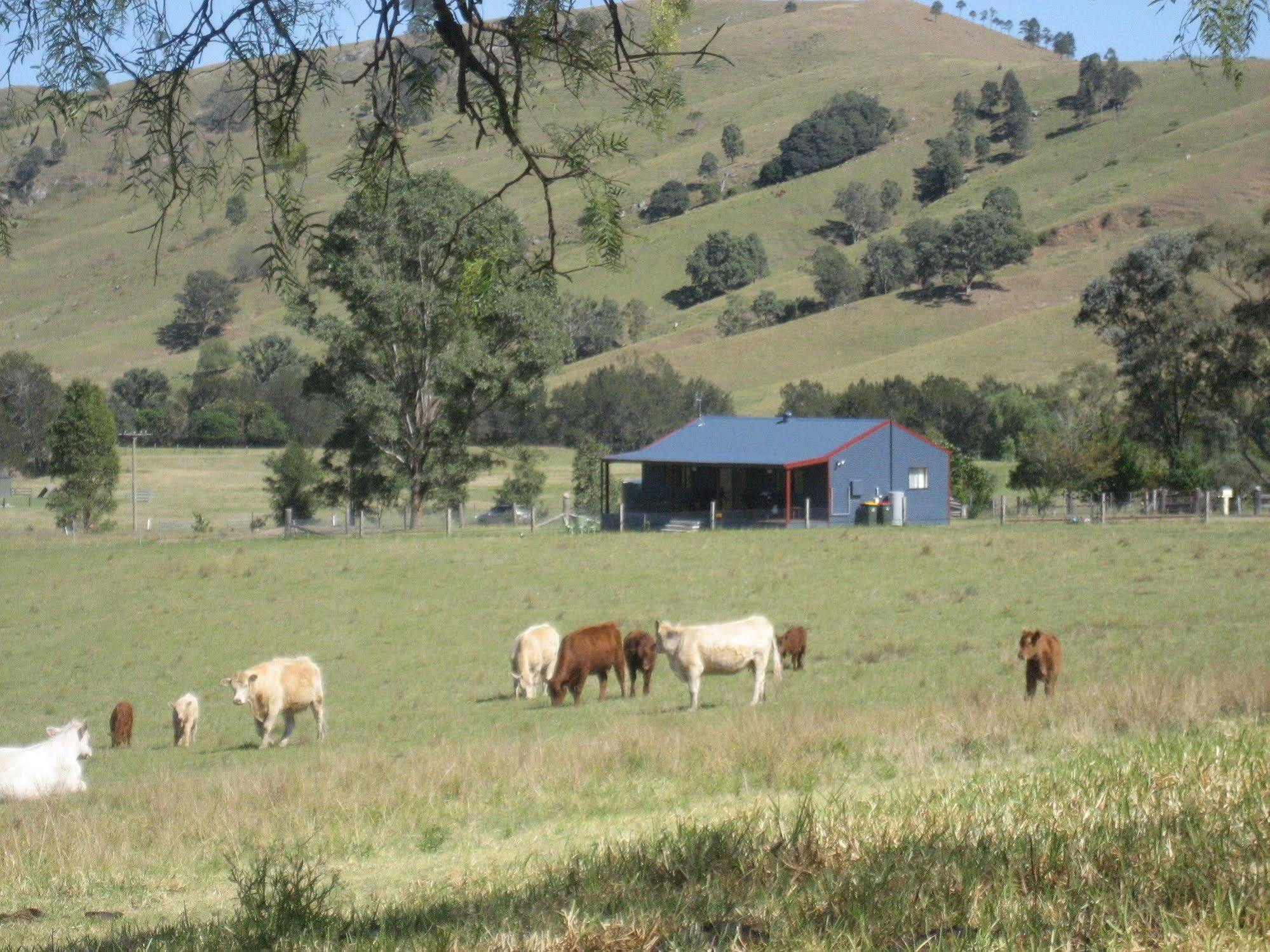 The Wattle Lodge Glendon Brook Exterior photo